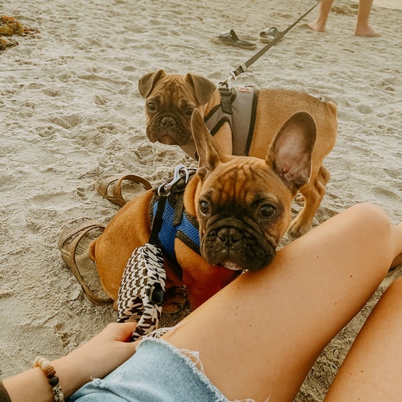 Meet your Posher, Kaylee - Picture 14 of 16